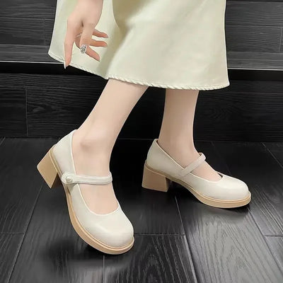 Chunky Heels Women's Shoes